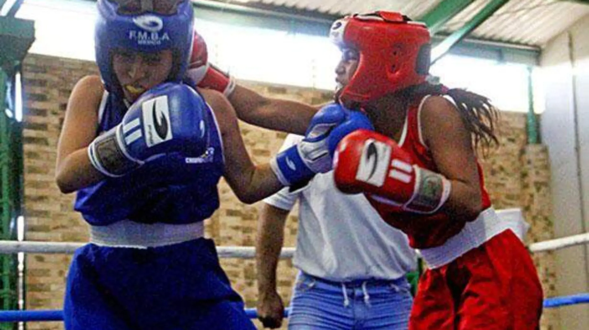 BOXEO (1)